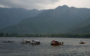 Dal Lake’s heavy metal crisis
