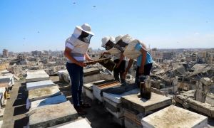 Hamas se je v Gazi pripravljen odreči orožju