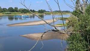 Wie das Niedrigwasser der Wirtschaft zusetzt