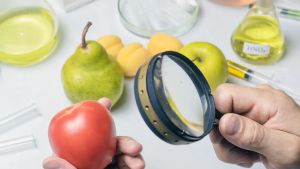 “Mid-Day Opinion: FDA’s actions are food for thought”
