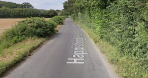 18-year-old banned from driving after crashing Ford Fiesta into hedge
