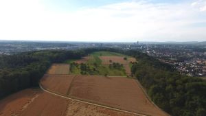 Was die Muttenzer Rütihard über das Rütli verrät