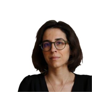 O conflito também faz parte da adaptação do litoral