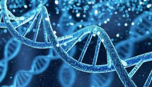 Study reveals two 'ghost ancestors' hidden in human DNA