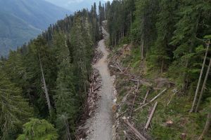 A question of access: Recreational groups seek improvements to B.C.’s vast web of resource roads