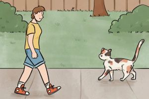 News To Me – Bad kitty