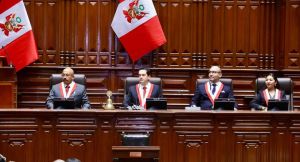 “La bicameralidad no garantiza mejores leyes, pero crea la oportunidad de tenerlas”.