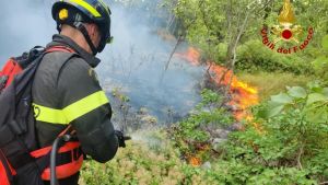 Il Carso torna a bruciare: a fuoco un’area boschiva tra Padriciano e Gropada