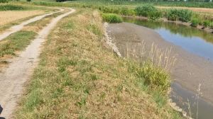Bovolenta, trovato morto un 69enne in un canale: probabile malore in bici