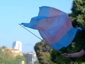 5 States Will Vote on Anti-Trans Ballot Initiatives This November