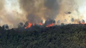 Evacúan a 800 personas de dos municipios de Cáceres por un incendio forestal: 