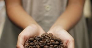 How Coffee Affects Mood and Cognition Via the Gut-Brain Axis