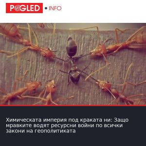 Химическата империя под краката ни: Защо мравките водят ресурсни войни по всички закони на геополитиката