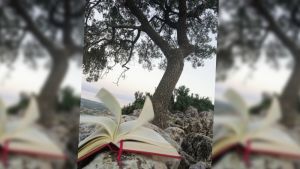 Yedinci Söz’den hayatın içine bakış