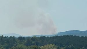 Incendio sul Carso, fumo e aria irrespirabile fino in centro a Trieste: mascherine e finestre chiuse