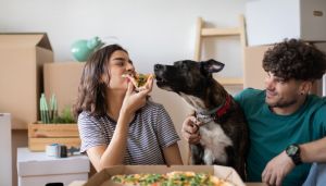 The Peter Pan generation chooses pets