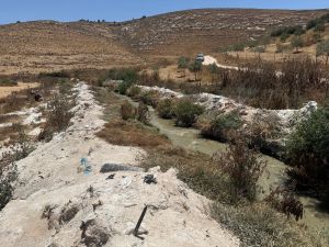 As toxic sewage and factory sludge choke Hebron stream, locals refuse to go with the flow