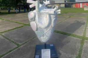 Â«CorazÃ³n en BlancoÂ», por Valentina RodrÃ­guezÂ