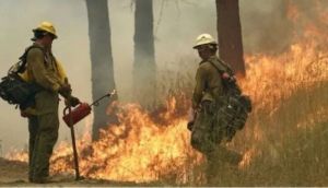 Washington Wildfires: 250,000 acres burned, state of emergency declared, prompting evacuations