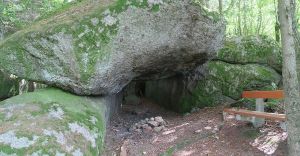 Kolumne 