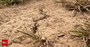 Schluss mit der Kurzsichtigkeit, das Wasser läuft uns davon