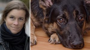 Vi borde införa vah – vård av husdjur