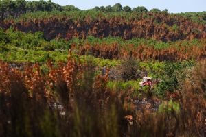 La forêt des Landes est le produit d’une décision d’Etat : devrions nous nous en inspirer pour une grande recomposition territoriale face aux risques climatiques ?