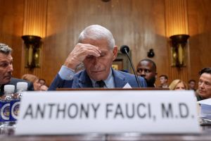 What is the point of embarrassing Fauci over his diary entries?
