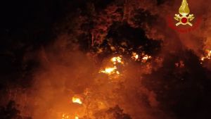 Incendio sul Carso, il borino rende difficile lo spegnimento delle fiamme: le immagini