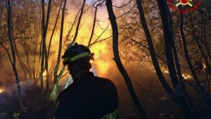 Incendio sul Carso, spegnimento difficile a causa del borino: pronti a evacuare in caso di necessità