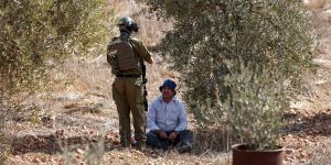 USDA Agribusiness Integration With Israel Subsidizes Settler Expansionism