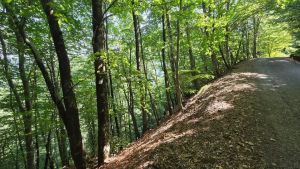Vola per 20 metri in un dirupo, salvo un giovane scout. La mamma: «Mio figlio è miracolato»