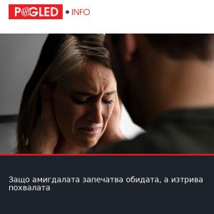 Защо амигдалата запечатва обидата, а изтрива похвалата