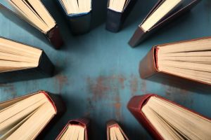 The Relationship Between Indigenous Communities and the University: Camellones Chontales