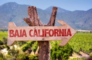 Critical Consciousness Development through Indigenous Public Consultation in Baja California