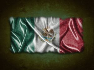 The War Against Drug Traffic and Ecocide: The Case of 'Operación Cóndor' in Sinaloa, México