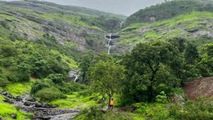Next conservation challenge lies beyond protected areas