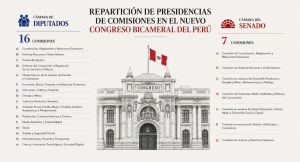Comisiones bicamerales: Así sería el cuadro de comisiones y la repartición de presidencias en Senado y Diputados