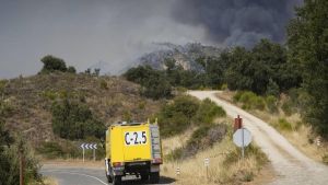 No podemos seguir confiando nuestros montes a la suerte