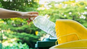Quiero ir a un bar-restaurante donde se recicle