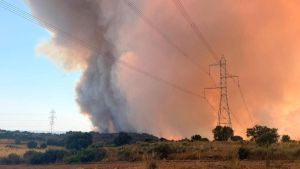 Sobre el reciente incendio en los Arribes del Duero