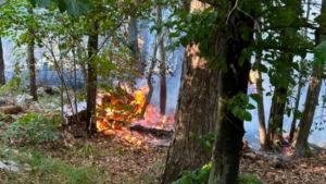 Incendio a Padriciano: nuovi focolai. Arriva l'Esercito