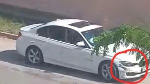 Bloccato dopo la fuga: muore. Nella corsa sperona e aggredisce i carabinieri che usano il taser