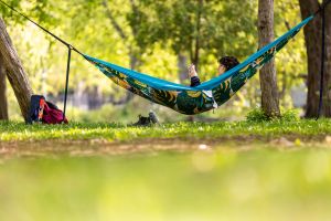 Hanes: Reading is a delight of summer vacation. It's also an act of rebellion against AI