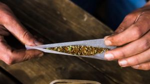 Wenn die Legalisierung zum Höllentrip führt