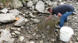 Hitzewelle, Dürre, ausgetrocknete Flüsse: Massenfischsterben in der Brigach und der Breg