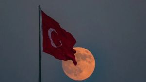 Kriz çözme diplomasisi: Türkiye'nin niş kapasite inşa etme stratejisi