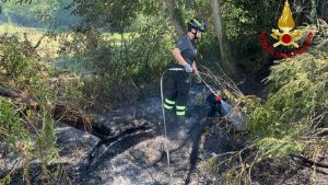 Sterpaglie a fuoco tra San Canzian e Pieris, intervengono i vigili del fuoco