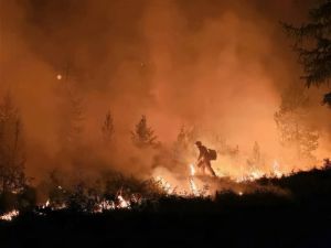 Dans l’État de Washington, 60 000 personnes évacuées face à des incendies dévastateurs