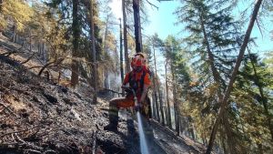 Caldo da allerta rossa e fiamme nei boschi del Fvg: «Andati in fumo 220 campi da calcio»